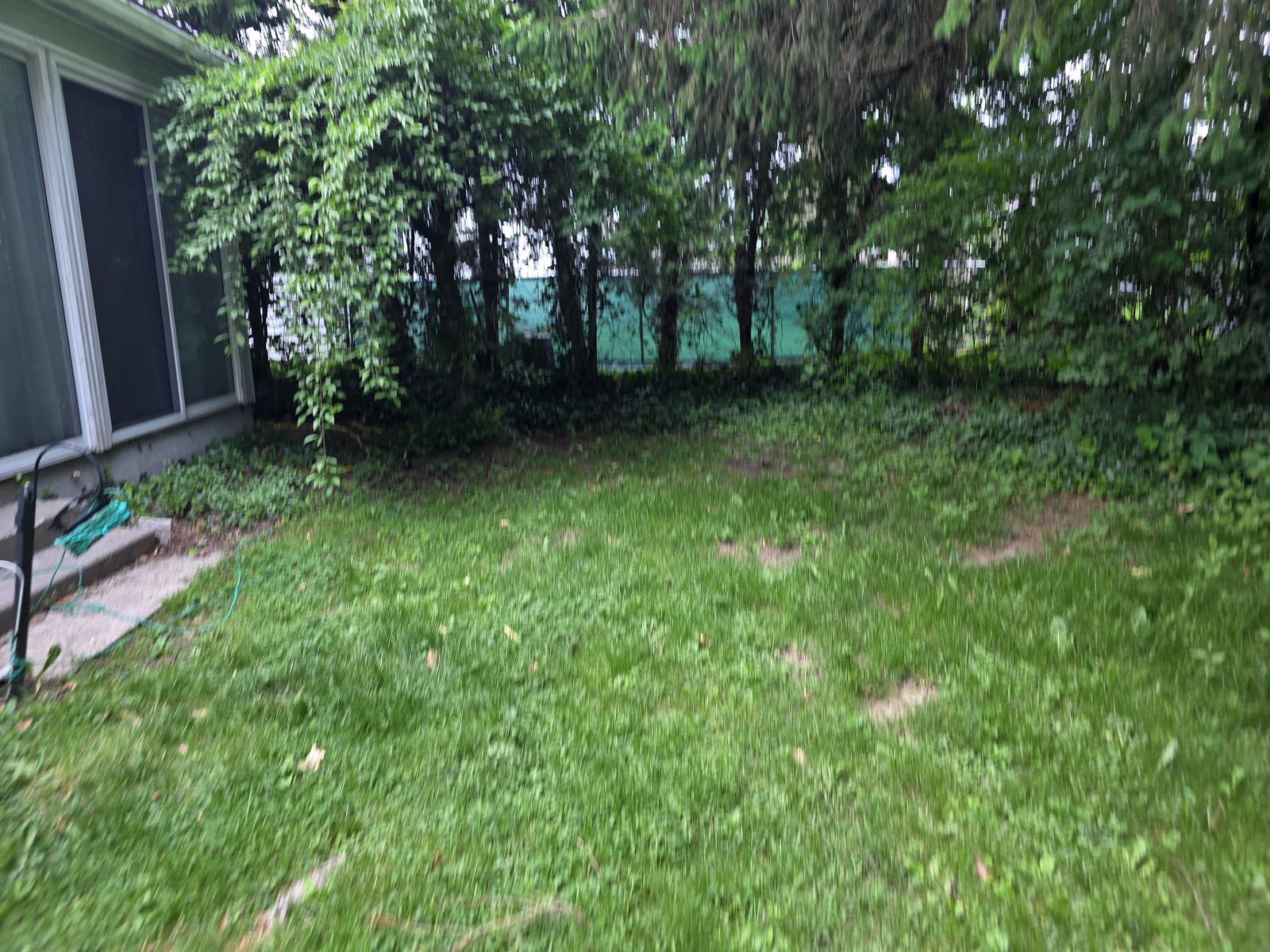 Backyard and outdoor space